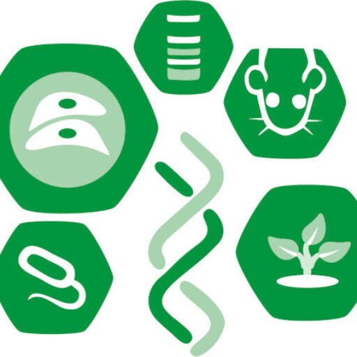 Máster Universitario en Investigación en Biotecnología y Biomedicina